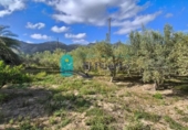 Casa de campo con terreno en venta en la España, Totana, ref: TR405387 foto