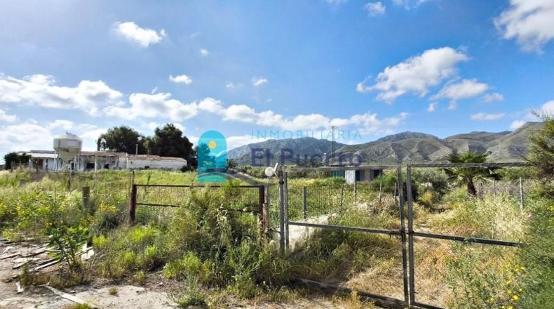 Murcia - Totana - 10000m2