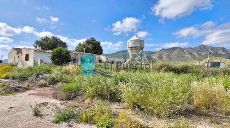Murcia - Totana - 10000m2
