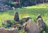 Finca rústica en venda a la España, Vilar, ref.: TR405388 foto