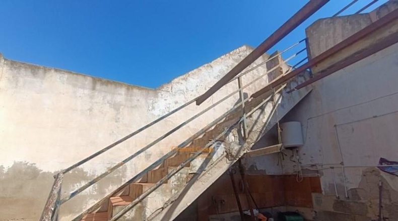 Аликанте - Elche - 4000m2