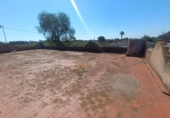 Finca rústica en venda a la España, Elx, ref.: TR405391 foto