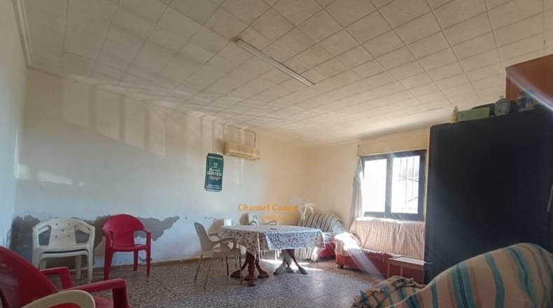 Аликанте - Elche - 4000m2