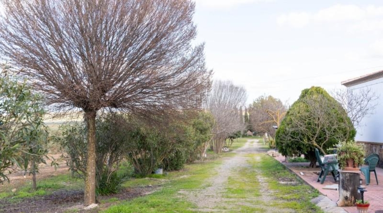Málaga - Mollina - 7000m2