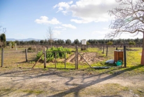 Mollina 7000&nbsp;m² 