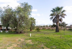 Mollina 7000&nbsp;m² 
