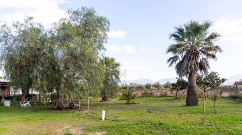 Málaga - Mollina - 7000m2