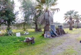 Mollina 7000&nbsp;m² 