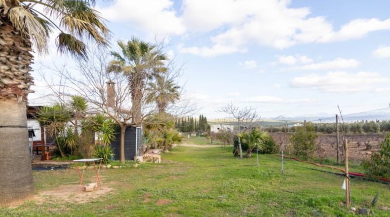 Málaga - Mollina - 7000m2