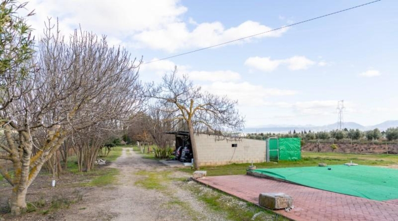 Málaga - Mollina - 7000m2