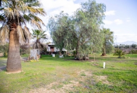 Mollina 7000&nbsp;m² 