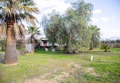 Casa de camp amb terreny en venda a la España, Mollina, ref.: TR387076 foto