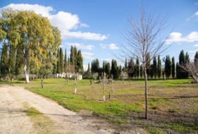 Mollina 7000&nbsp;m² 