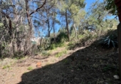 Xalet independent amb terreny en venda a la España, la Nucia, ref.: TR404667 foto