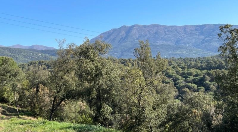 Barcelona - Sant Pere de Vilamajor - 885m2