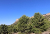 Xalet independent amb terreny en venda a la España, Castalla, ref.: TR151815 foto