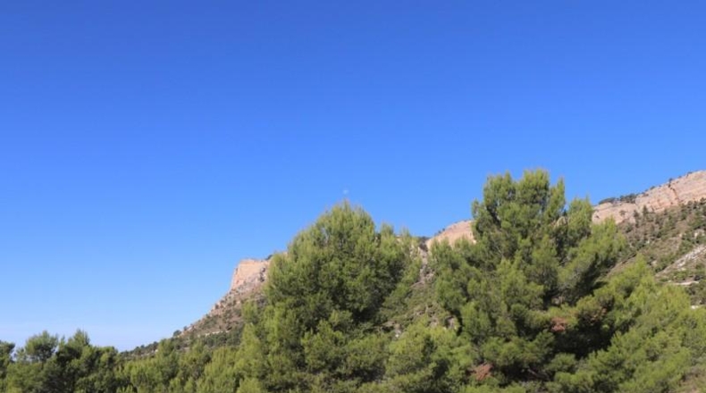 Alicante - Castalla - 1500m2
