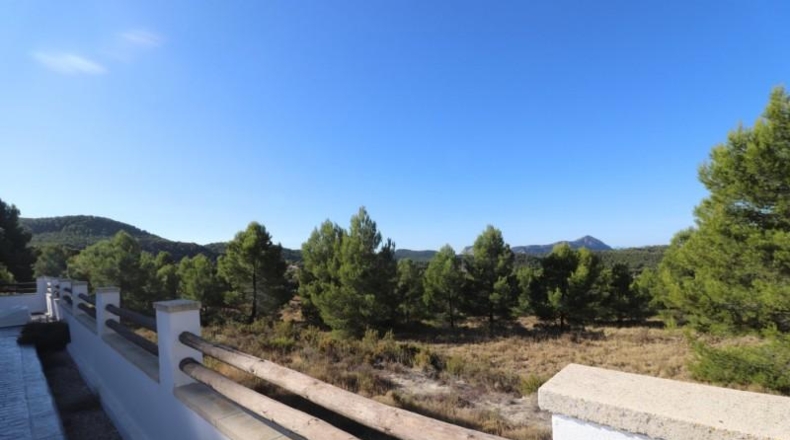 Alicante - Castalla - 1500m2