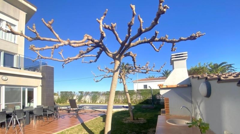Castellón - Vinaroz - 262m2