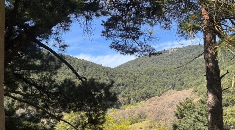 Comunidad de Madrid - Cercedilla - 3637m2