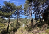 Finca rústica en venda a la España, Cercedilla, ref.: TR400543 foto