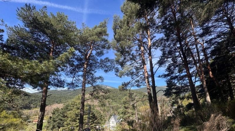 Comunidad de Madrid - Cercedilla - 3637m2