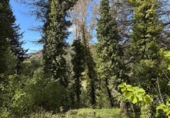 Finca rústica en venda a la España, Cercedilla, ref.: TR400543 foto