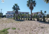 Finca rústica en venta en la España, Albatera, ref: TR395266 foto