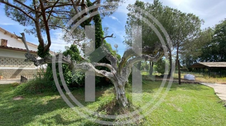 Barcelona - Sant Antoni de Vilamajor - 5798m2