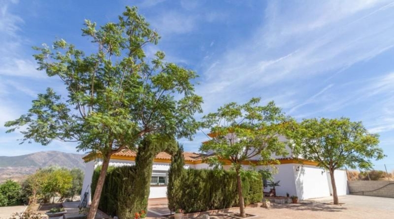 Málaga - Mijas - 4000m2