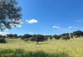 Xalet independent amb terreny en venda a la España, Alanís, ref.: TR247235 foto