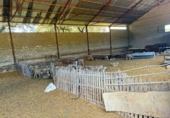 Xalet independent amb terreny en venda a la España, Alanís, ref.: TR247235 foto