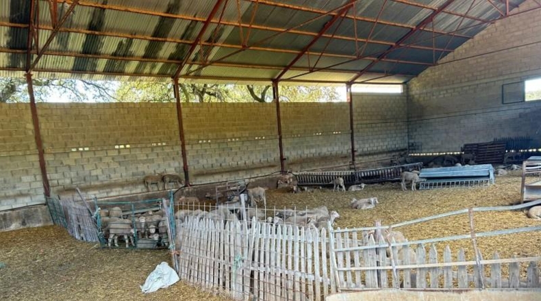 Seville - Alanís - 970000m2
