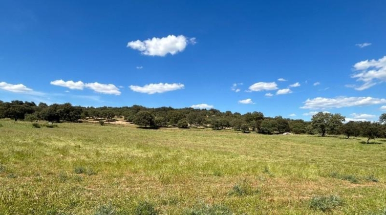 Seville - Alanís - 970000m2