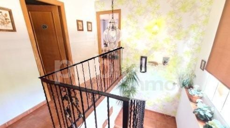 Alicante - Elche - 540m2