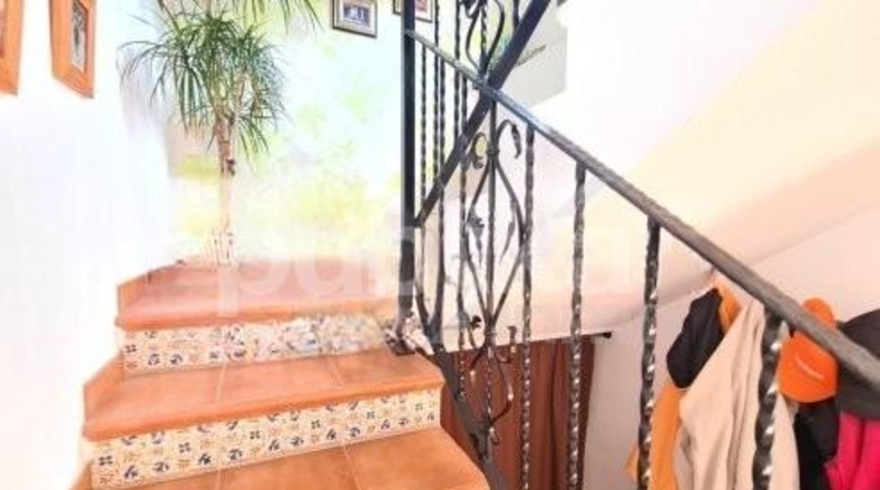 Alicante - Elche - 540m2