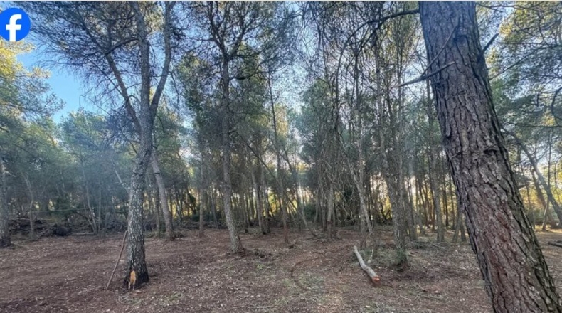 Tarragona - Roquetes - 15000m2