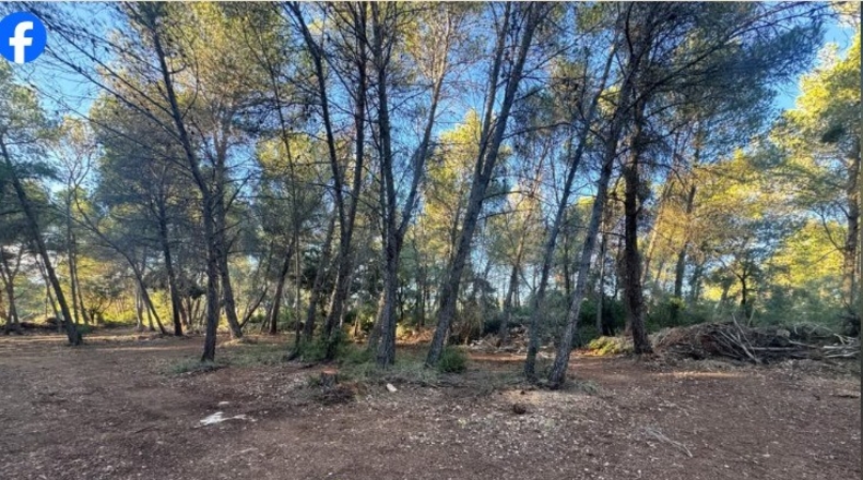 Tarragona - Roquetes - 15000m2