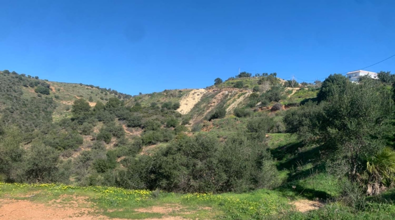 Málaga - Mijas - 9597m2
