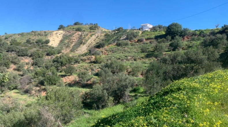 Málaga - Mijas - 9597m2
