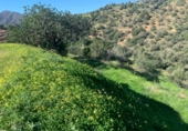 Terreno no urbanizable en venta en Mijas ref: TR405420 foto