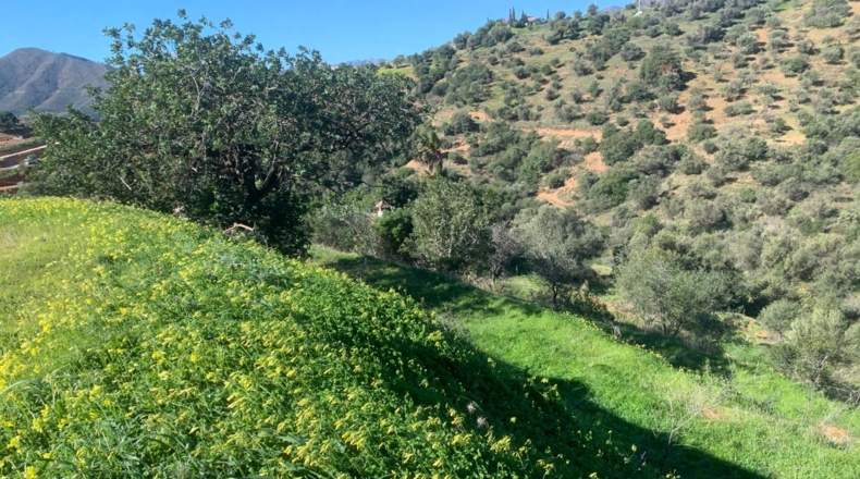 Málaga - Mijas - 9597m2
