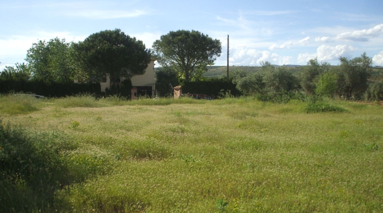 Ciudad Real - Retuerta del Bullaque - 1133m2