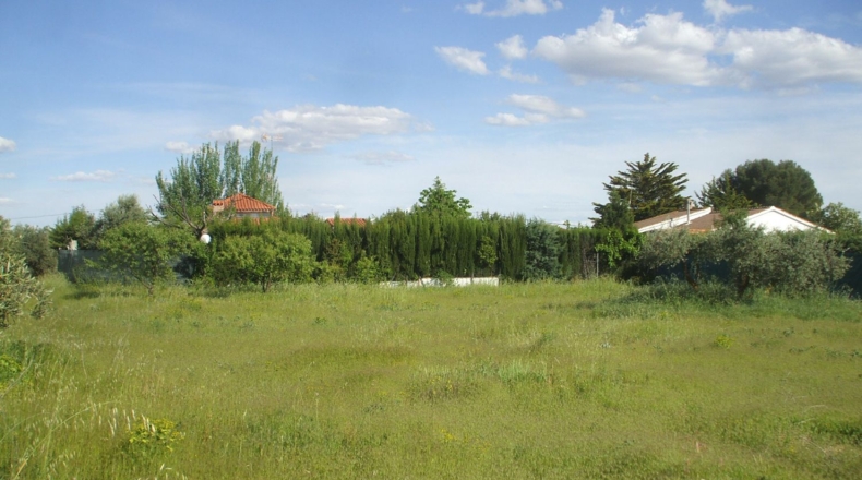 Ciudad Real - Retuerta del Bullaque - 1133m2
