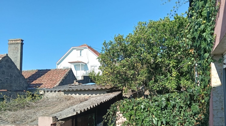Pontevedra - Marín - 153m2