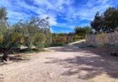 Xalet independent amb terreny en venda a Alcosser ref.: TR405424 foto