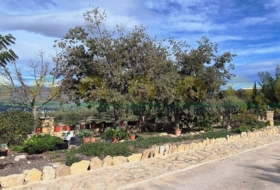 Alcosser 8781&nbsp;m² 