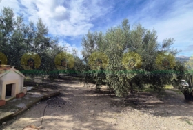 Alcosser 8781&nbsp;m² 