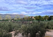 Xalet independent amb terreny en venda a Alcosser ref.: TR405424 foto