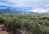 Xalet independent amb terreny en venda a Alcosser ref.: TR405424 foto